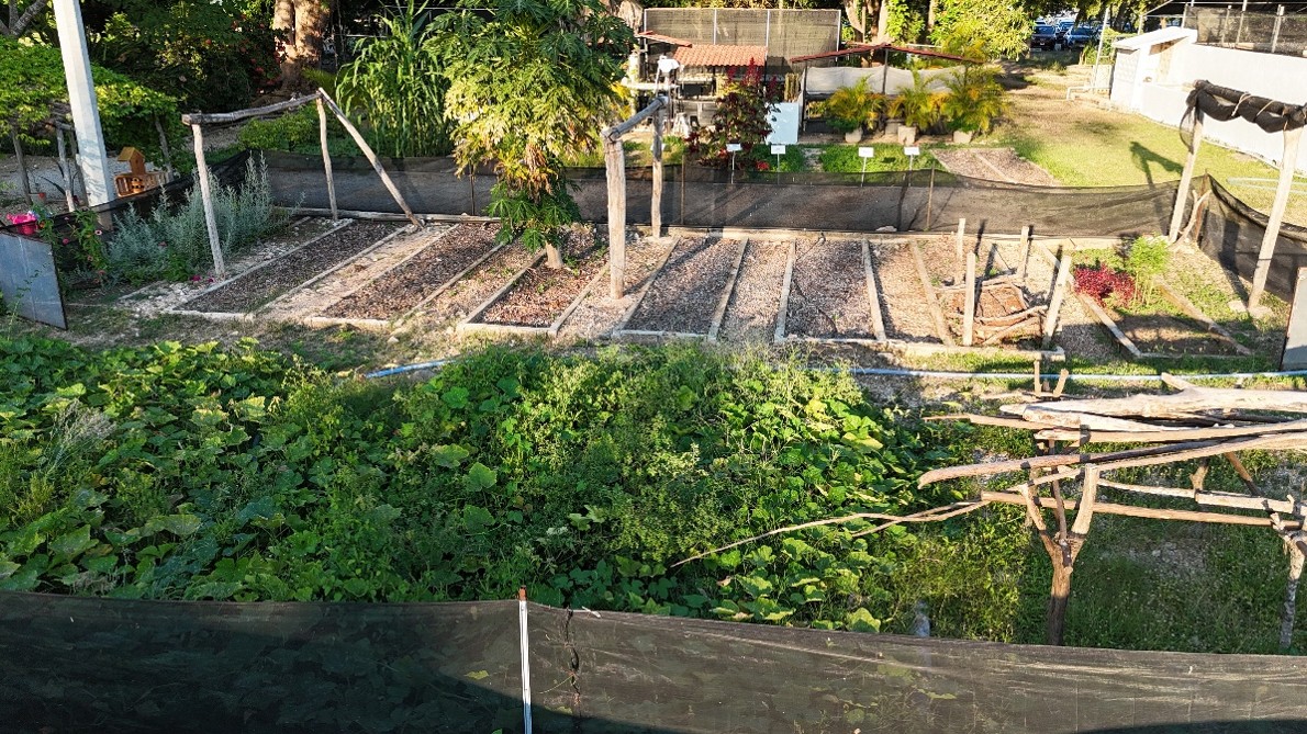 Subsistema agrícola