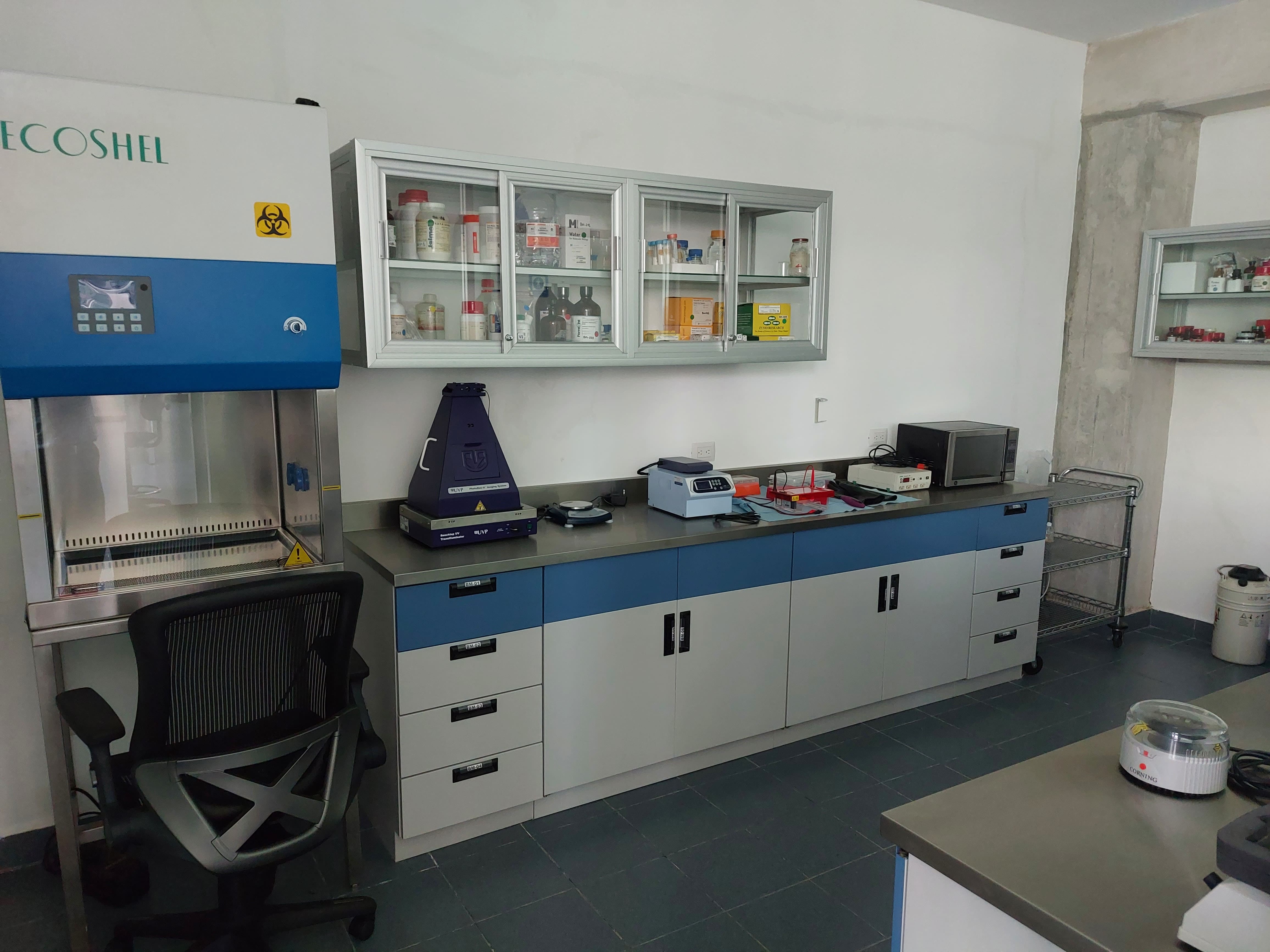 Laboratorio de Biología Molecular