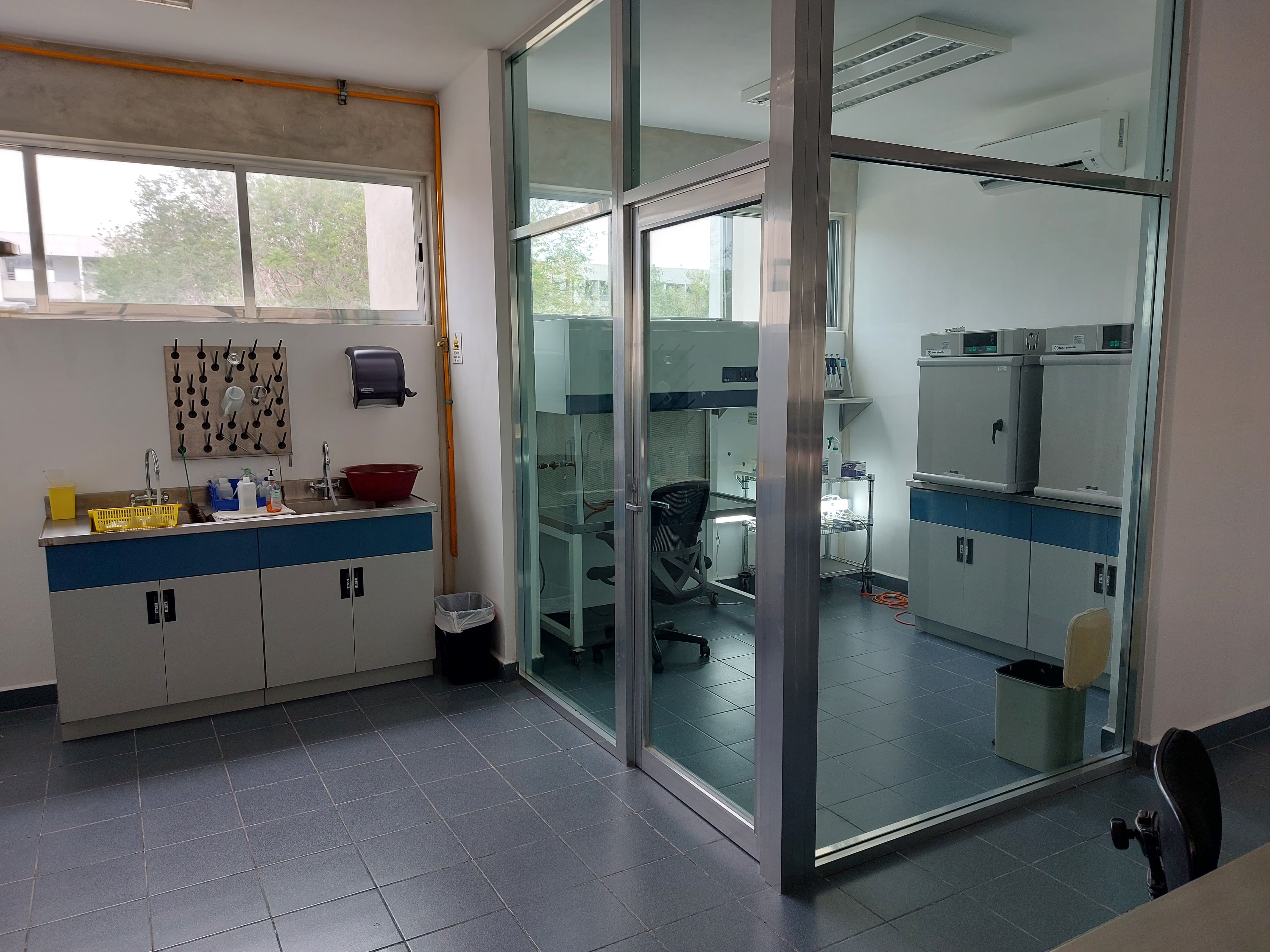 Laboratorio de Microbiología