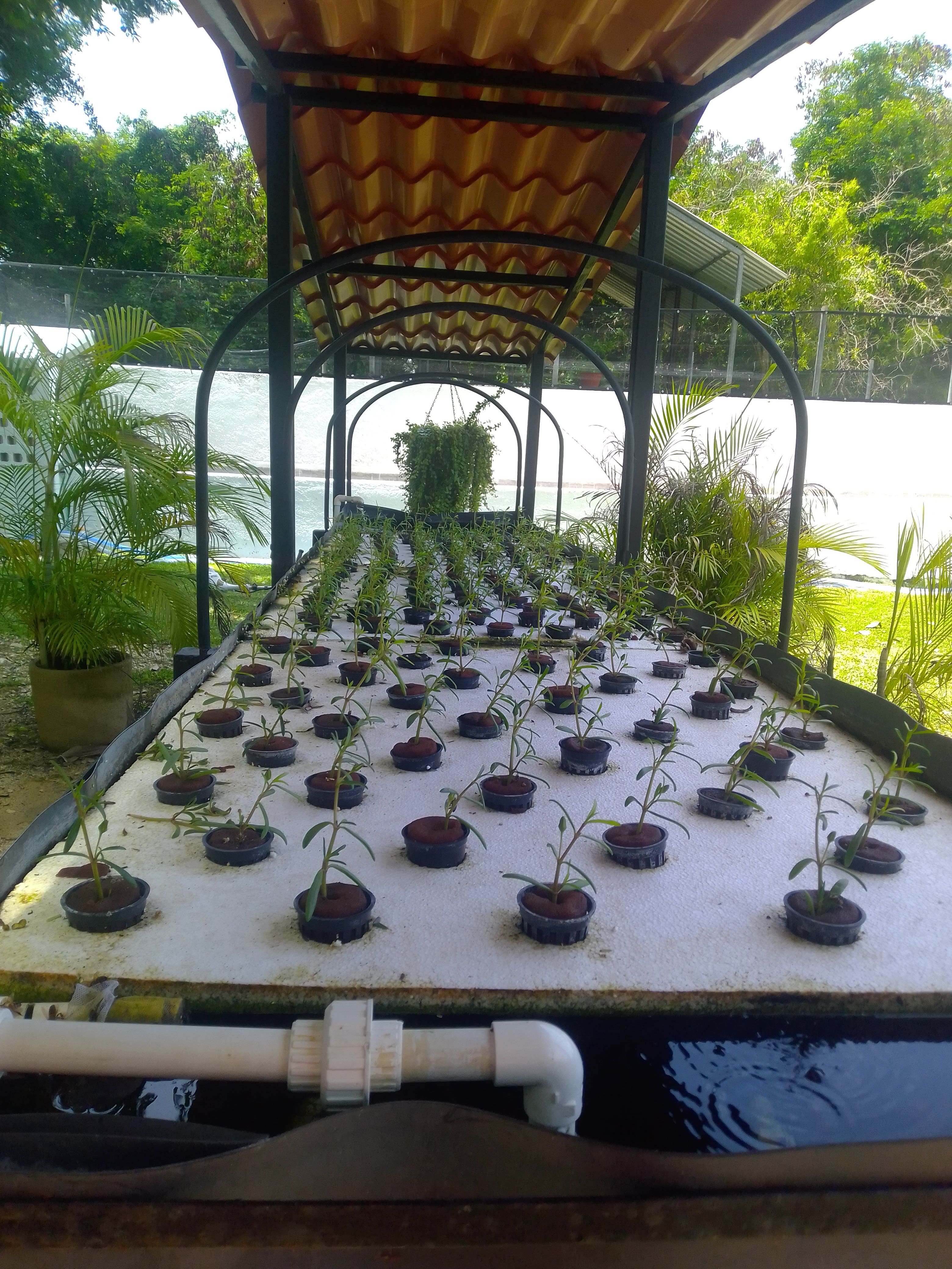 Sistema de cama flotante
