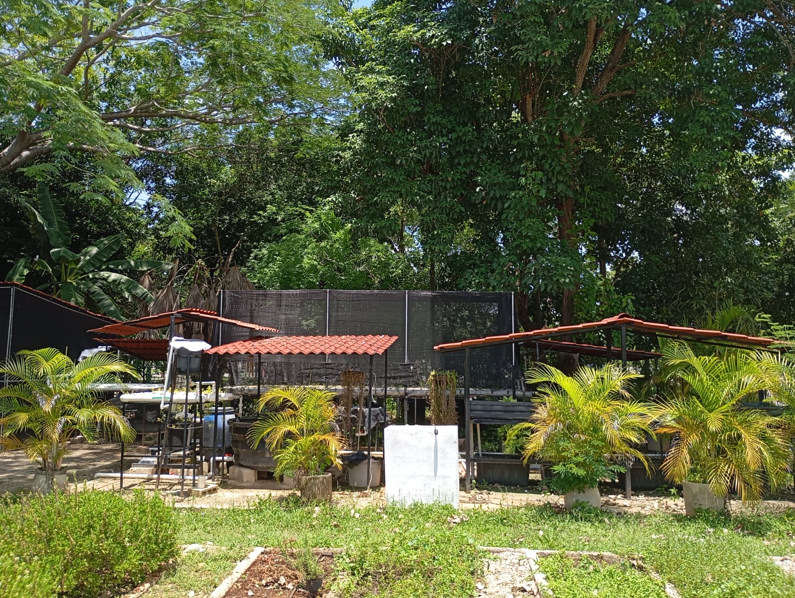 Laboratorio de Acuaponia